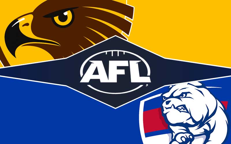 Bulldogs v Hawks betting tips, AFL round 13, 2025