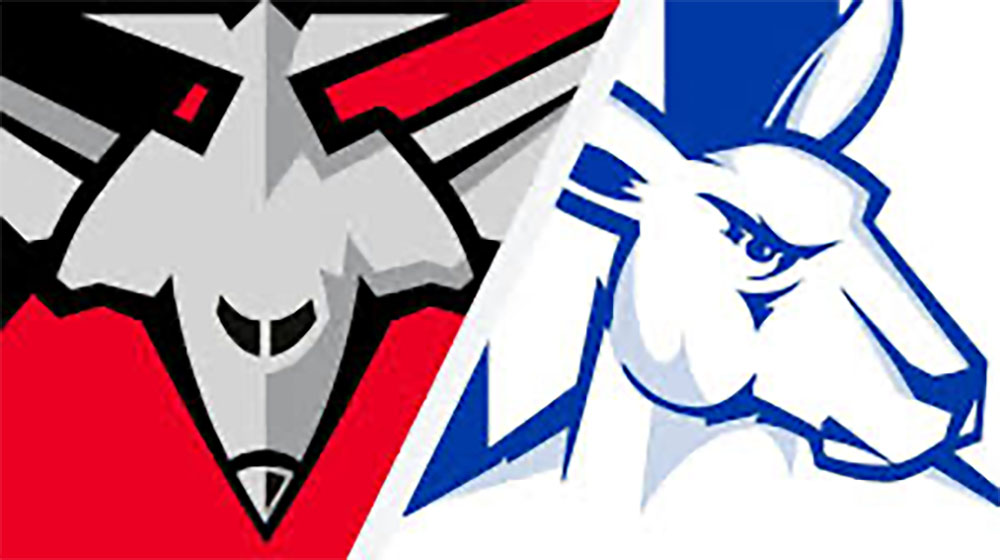 Essendon v North Melbourne betting tips; AFL round 8 2025
