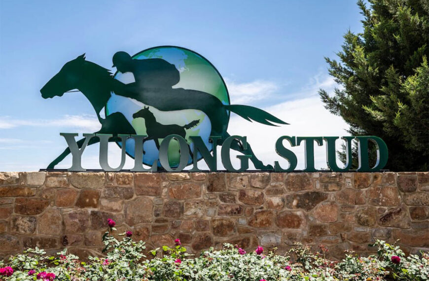 Yulong Stud will have Growing Empire available as a sire for the upcoming breeding season
