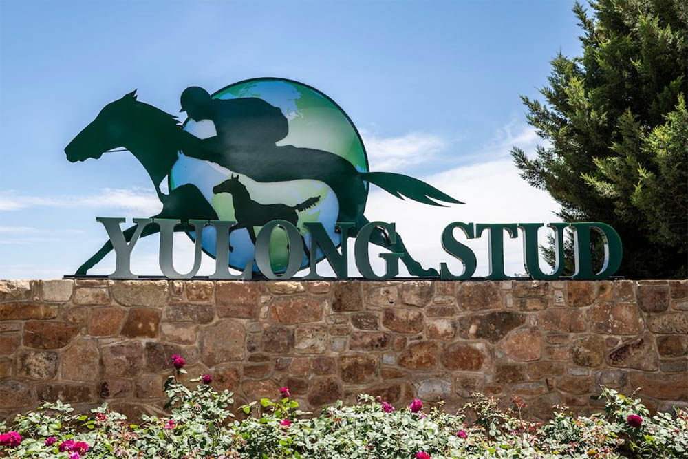Yulong Stud will have Growing Empire available as a sire for the upcoming breeding season