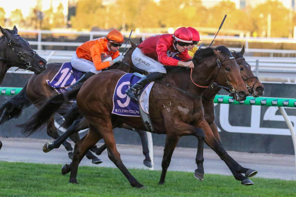 Miss Tarzy wins at Flemington on July 5, 2025