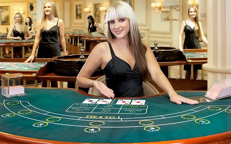 Live blackjack is among the most popular with beginners to gambling sites