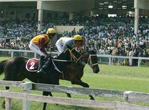 Madras horse racing track