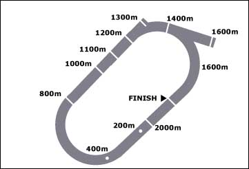 Map of the Ararat horse racing track