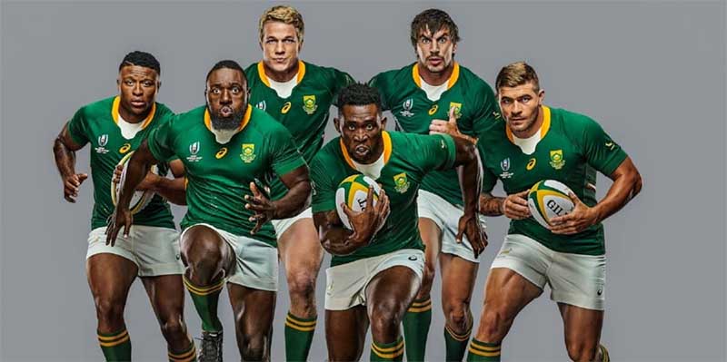 South Africa Rugby World Cup news and predictions