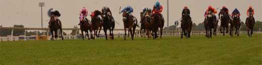 Turfontein horse racing in South Africa