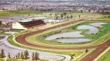 Woodbine boss Jim Lawson says single-event betting needs to be legalised in Canada