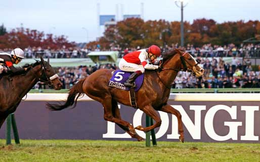 Japan horse racing 