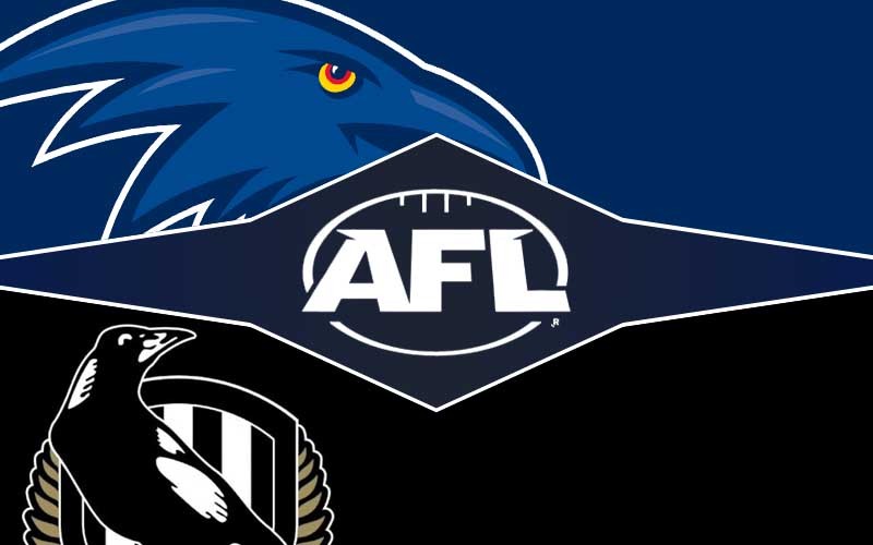 Adelaide v Collingwood betting tips, prediction & odds; AFL Rd 11 Preview