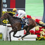 Golden Sixty wins Hong Kong Mile