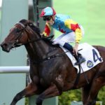 Fantastic Treasure wins at Sha Tin 16/5
