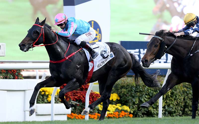 Frankie Lor believes Healthy Happy can win the Lion Rock Trophy Handicap on May 30