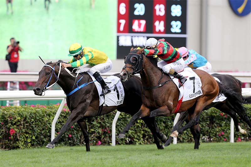 Sky Darci can win the G3 Lion Rock at Sha Tin on May 30 2021