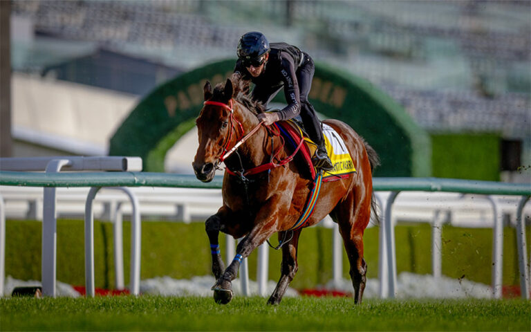 Romantic Warrior and James McDonald prepare for Dubai Turf at Meydan 2025