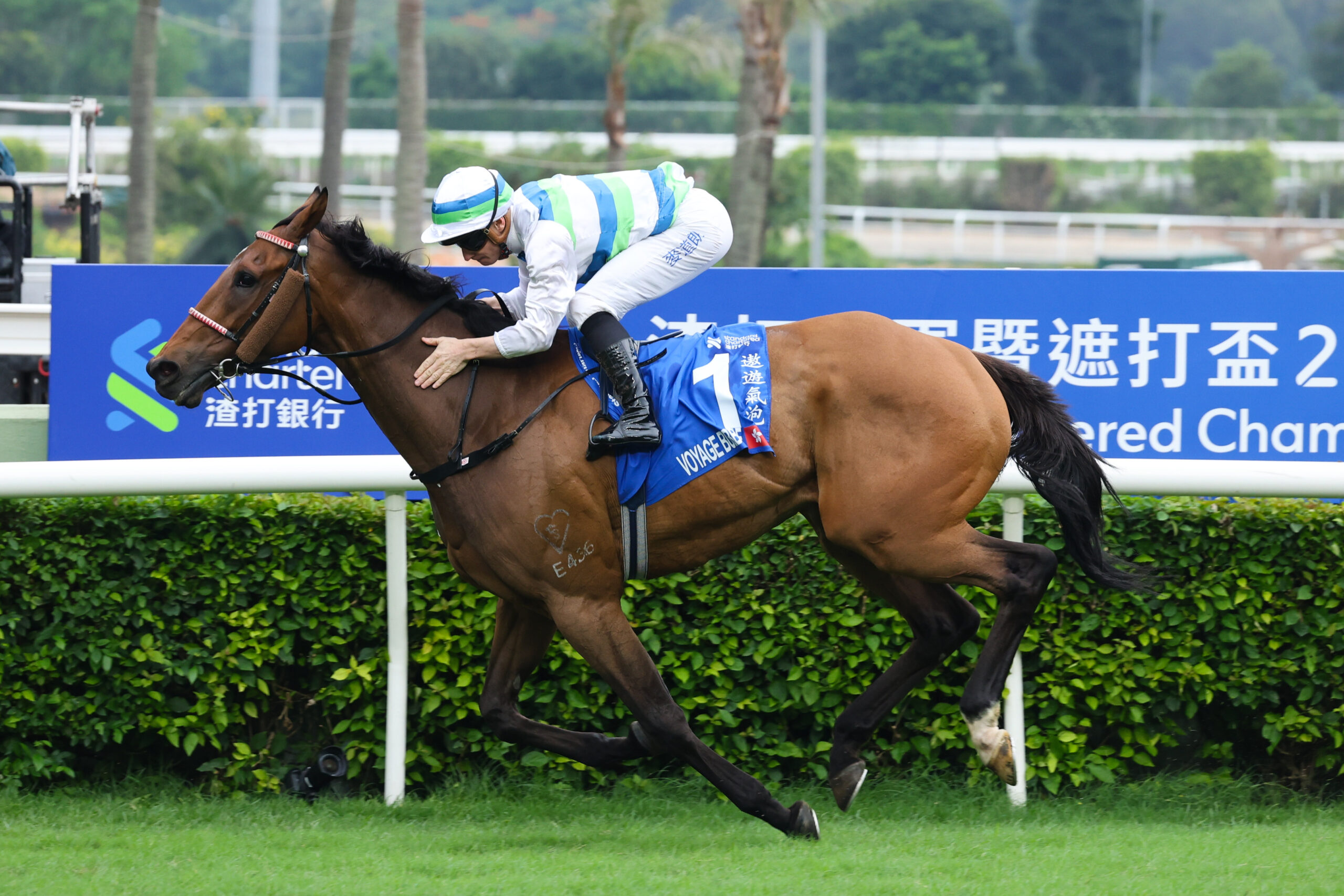 Voyage Bubble wins Champions & Chater Cup on May 25, 2025