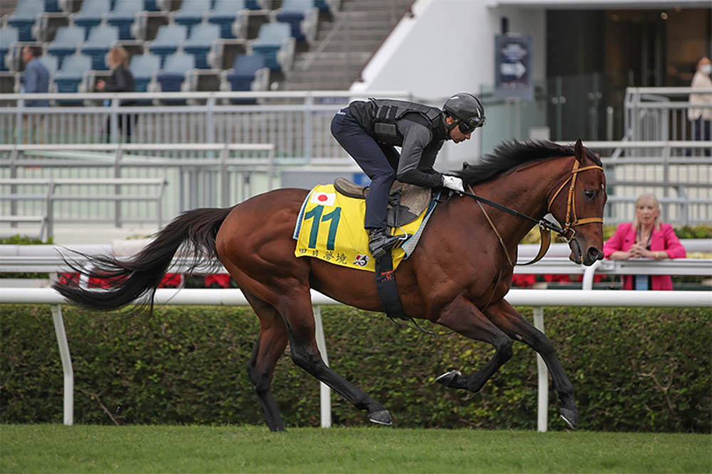 Satono Reve is one of the key chances for the Group 1 Queen Elizabeth II Jubilee Stakes at Royal Ascot on Saturday. Picture: HKJC.