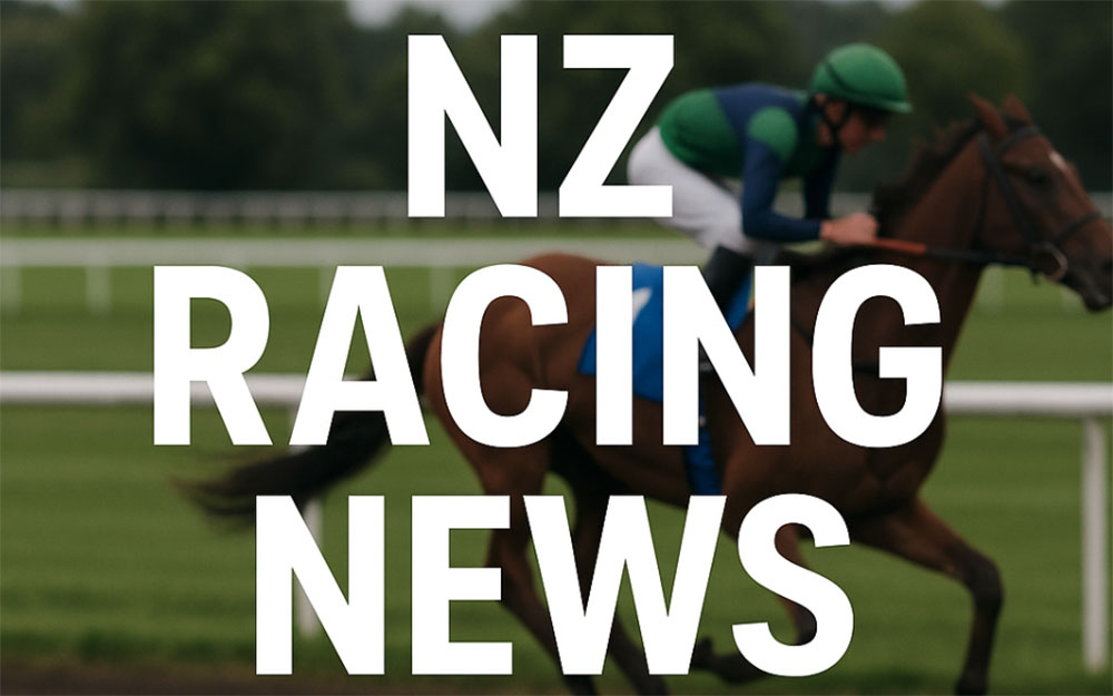 NZ star horse Public Attention sold to Hong Kong racing