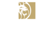 BetMGM Canada review