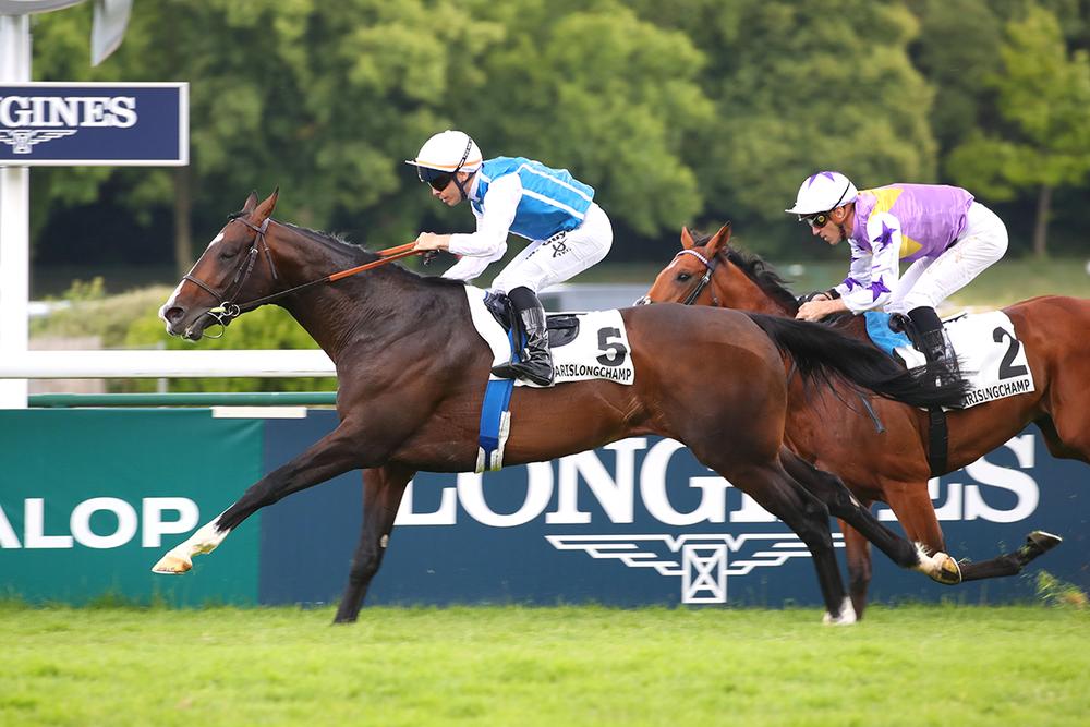 Sosie ready for Hong Kong Vase