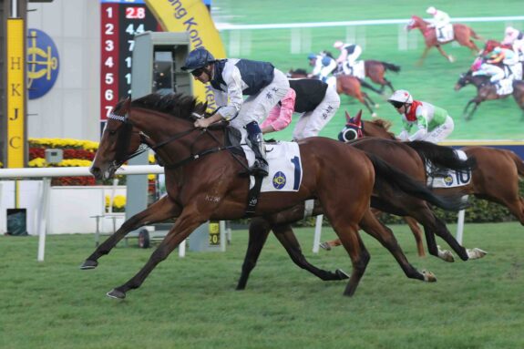Invincible Ibis is a form horse ahead of the Hong Kong Classic Mile