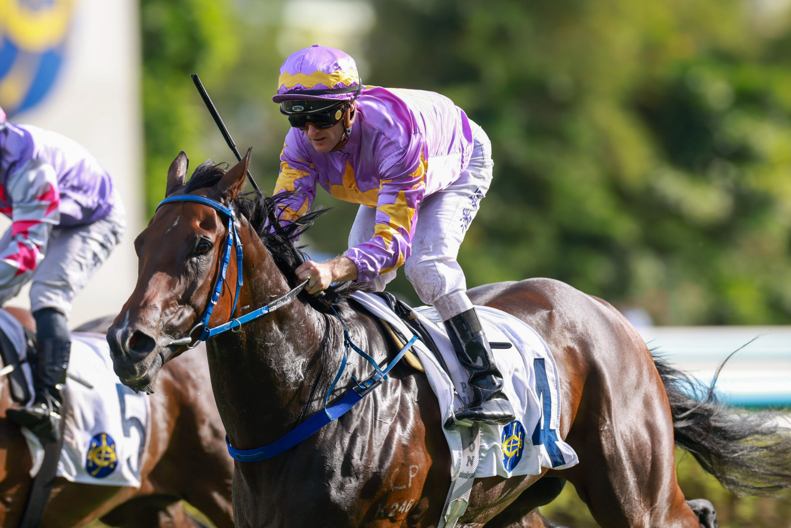 Little Paradise set for Hong Kong Classic mile