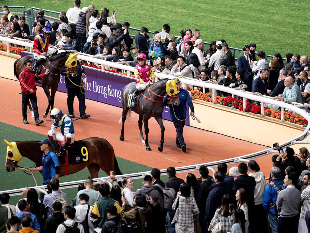 Horses are paraded prior to racing in Hong Kong