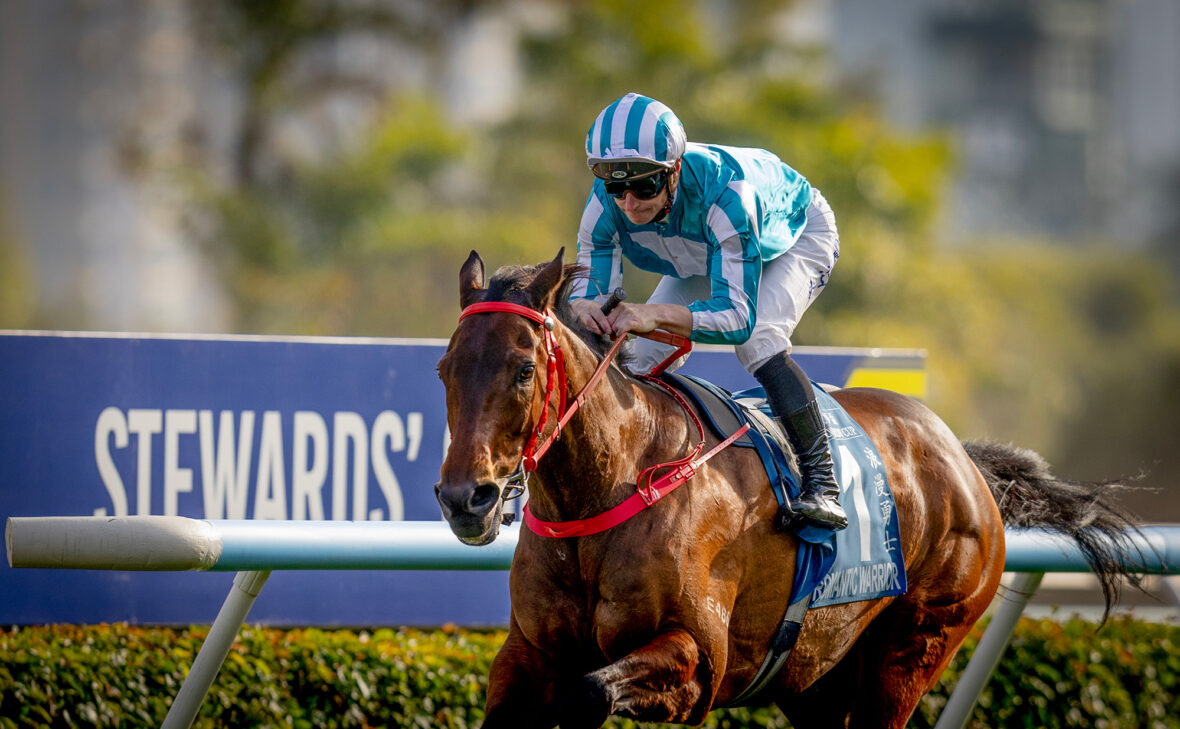 Romantic Warrior has swept all-comers in the last two years