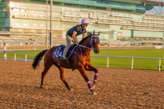 Sing Dragon gets a look at Meydan ahead of Saturday night.