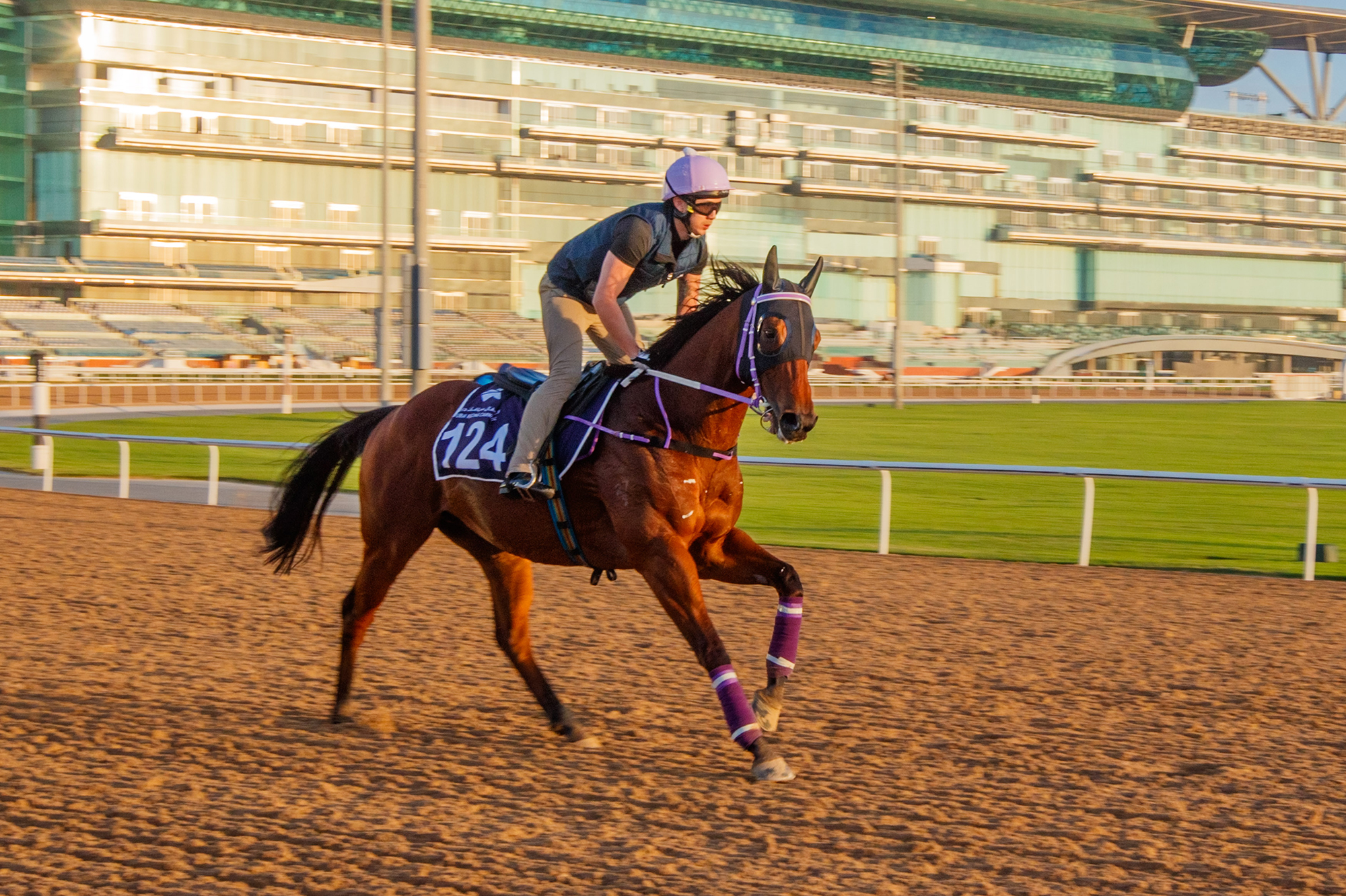 Sing Dragon gets a look at Meydan ahead of Saturday night.