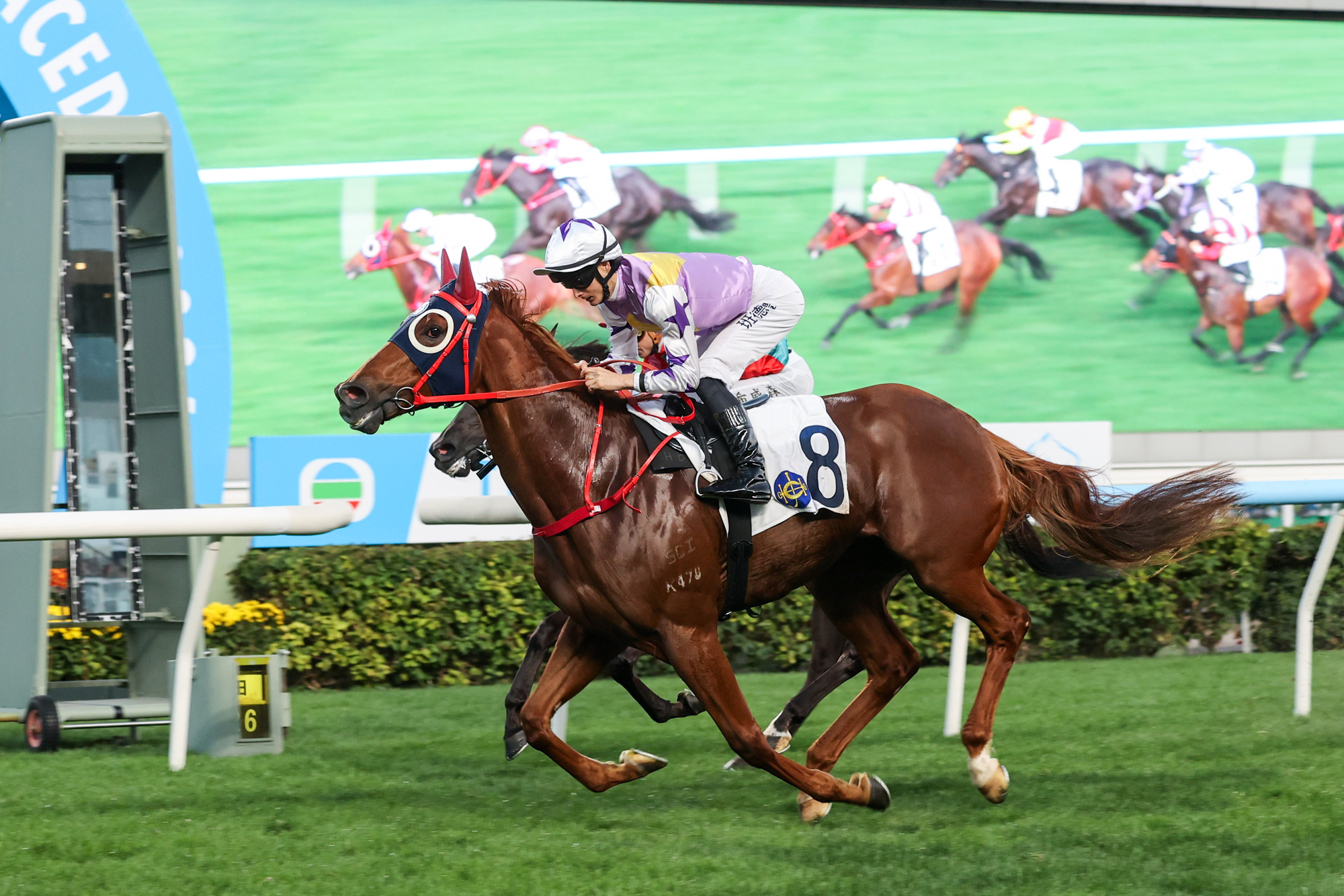 Stormy Grove storms home at Sha Tin