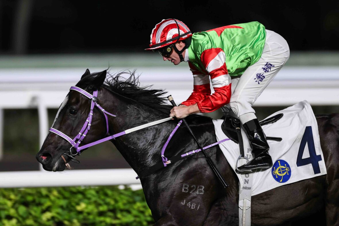 Top Dragon ready for Horse of the Year Cup