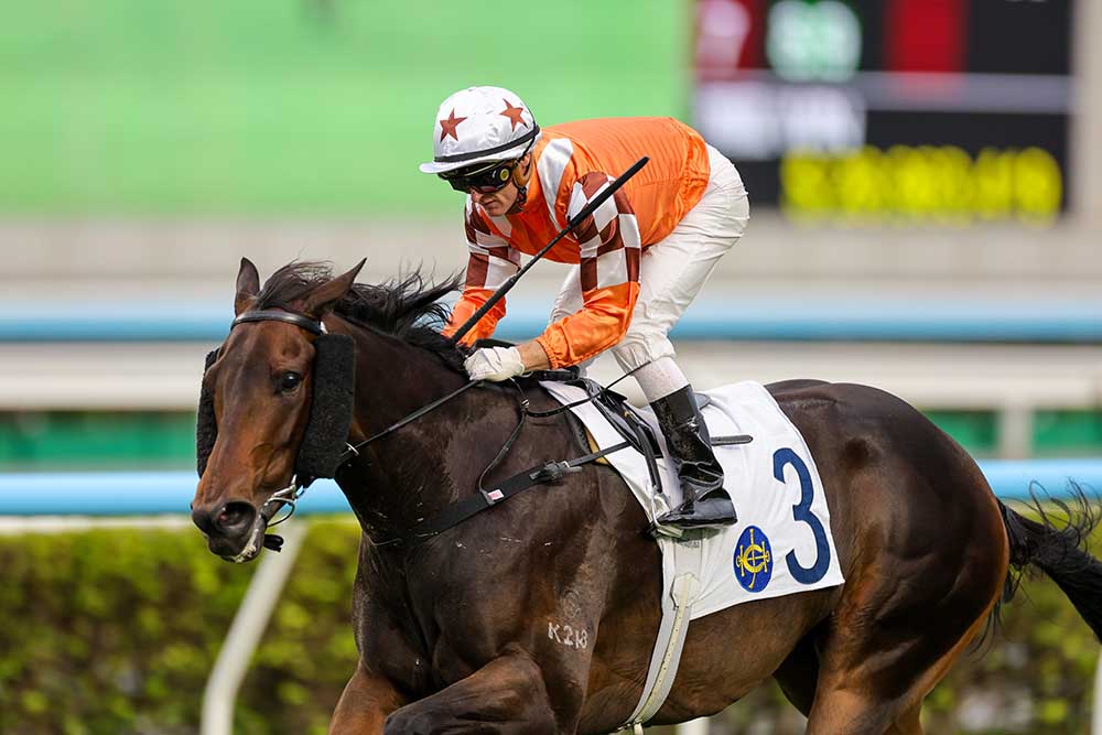 Bulb General set to return at Sha Tin