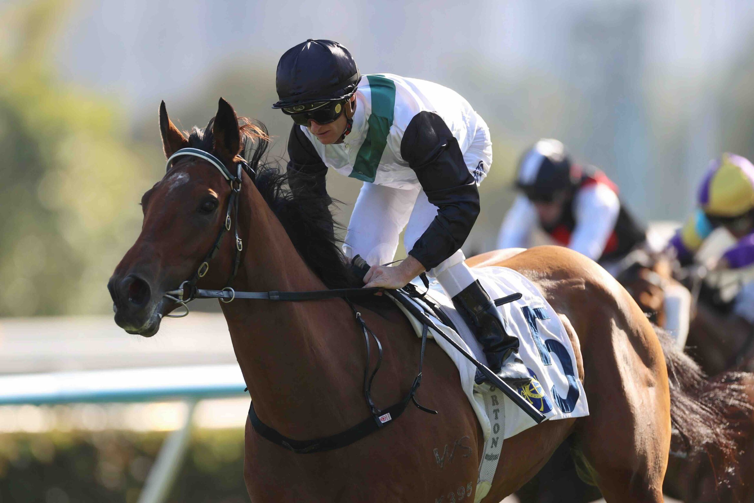 Zac Purton and China Win chasing Hong Kong Derby spot