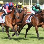 Doctor Askar set for Chris Waller stable