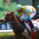 Karis Teetan powers away on Mr Incredible