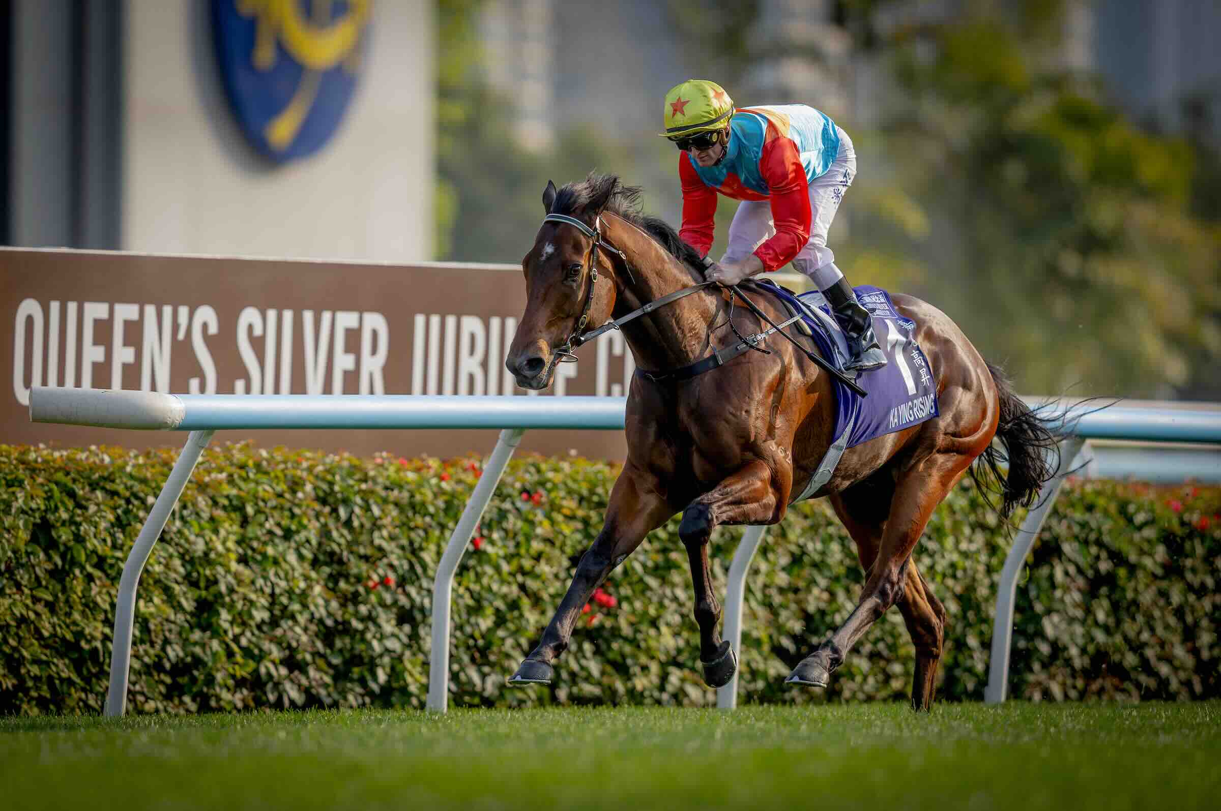 Ka Ying Rising named world's best racehorse