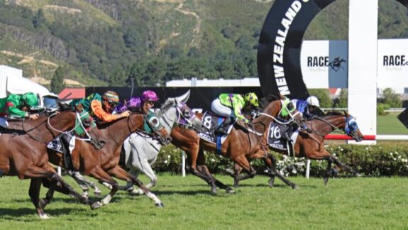 Manzor Blue could be set for the Melbourne Cup later this year. Photo: Peter Rubery (Race Images)