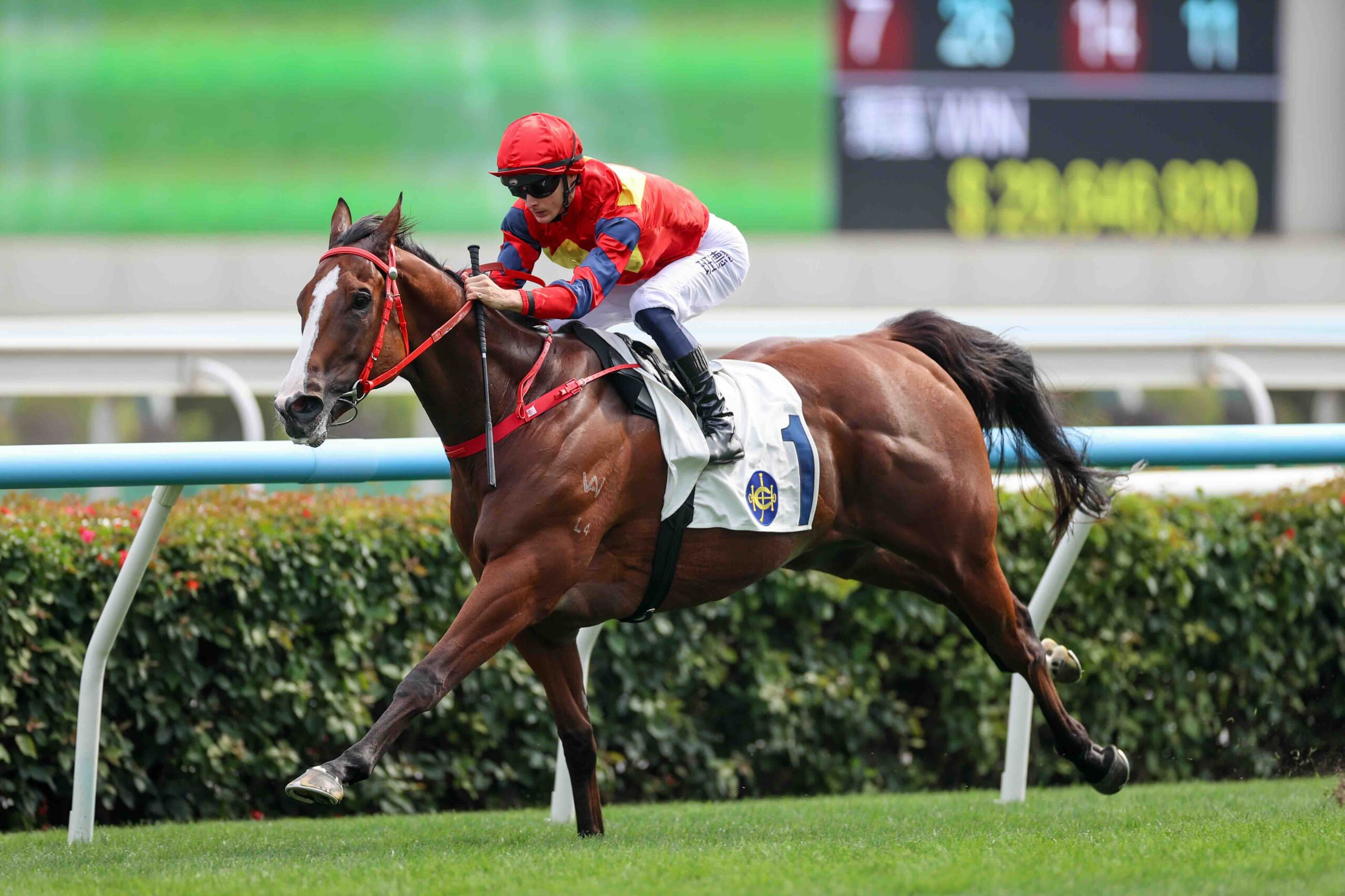 Smart Golf ready for Sha Tin assignment