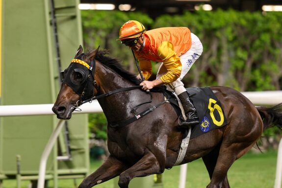 Armor Golden Eagle pushes Mark Newnham to 50 wins for the 2025/26 season.