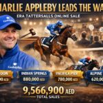 Godolphin has spent up at the ERA x Tattersalls onlinesales