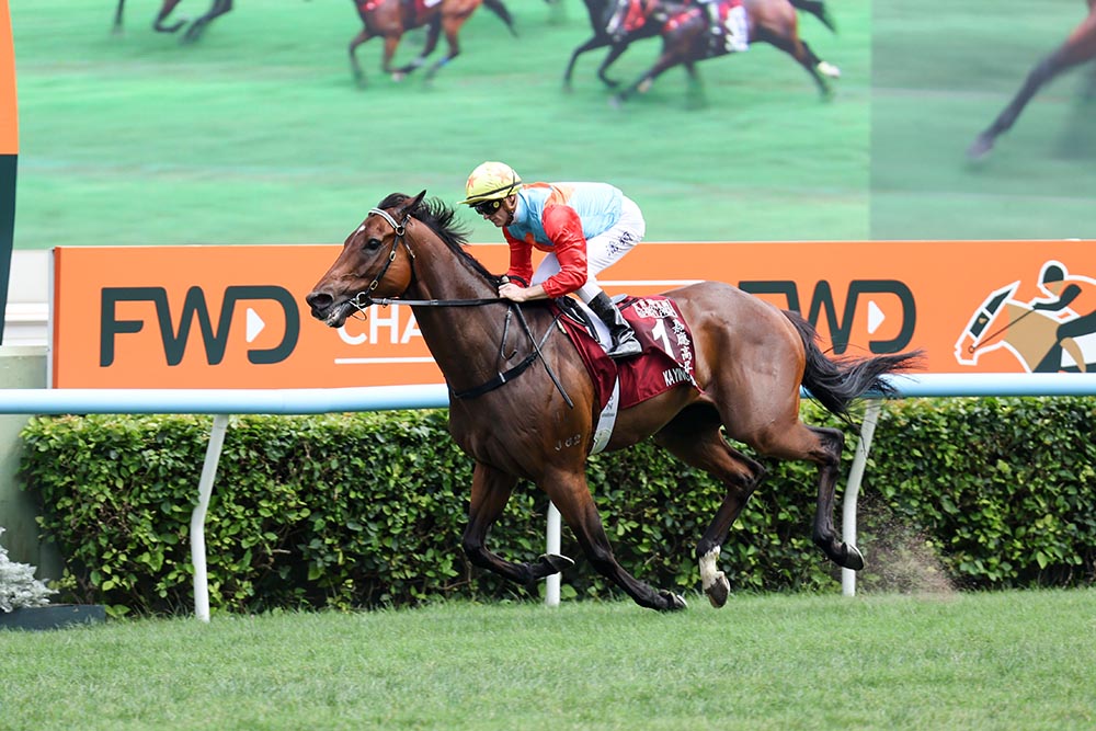 Ka Ying Rising has won the Chairman's Sprint Prize in emphatic fashion on Sunday