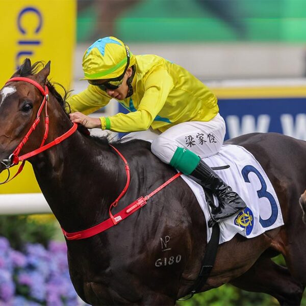Lucky Sweynesse wins at Sha Tin on Monday