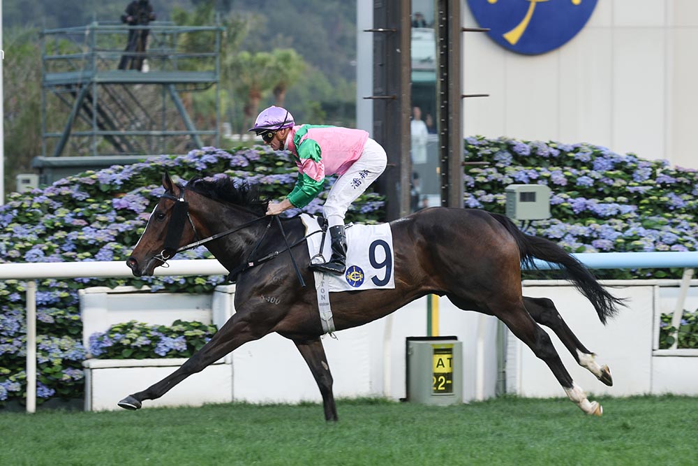Zac Purton aiming for 100th win of Hong Kong racing season