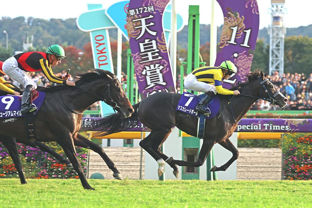 Masquerade Ball targets QEII Cup in Hong Kong