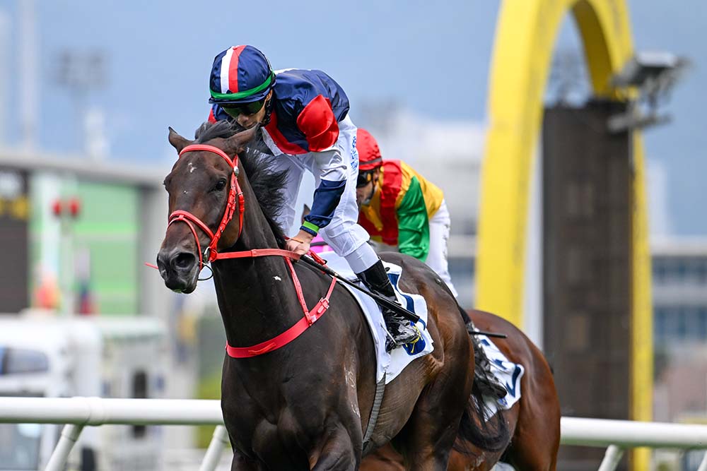 Numbers set to race in Champions and Chater Cup