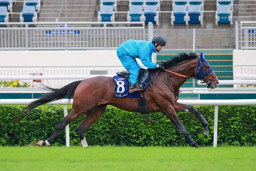Rousham Park strides out before Champions & Chater Cup 2026