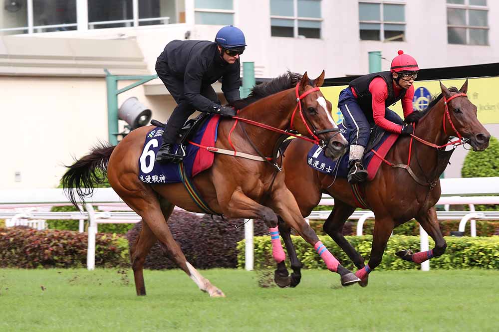 Zac Purton is hopeful untapped potential can carry Romantic Thor to greater heights