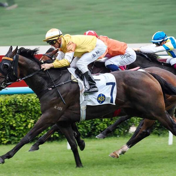 Oldtown lands a stylish victory under Zac Purton over 1200m at Sha Tin.