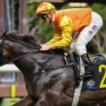 Armor Golden Eagle has gone to a new level since racing at Happy Valley.