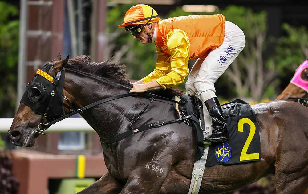 Armor Golden Eagle has gone to a new level since racing at Happy Valley.